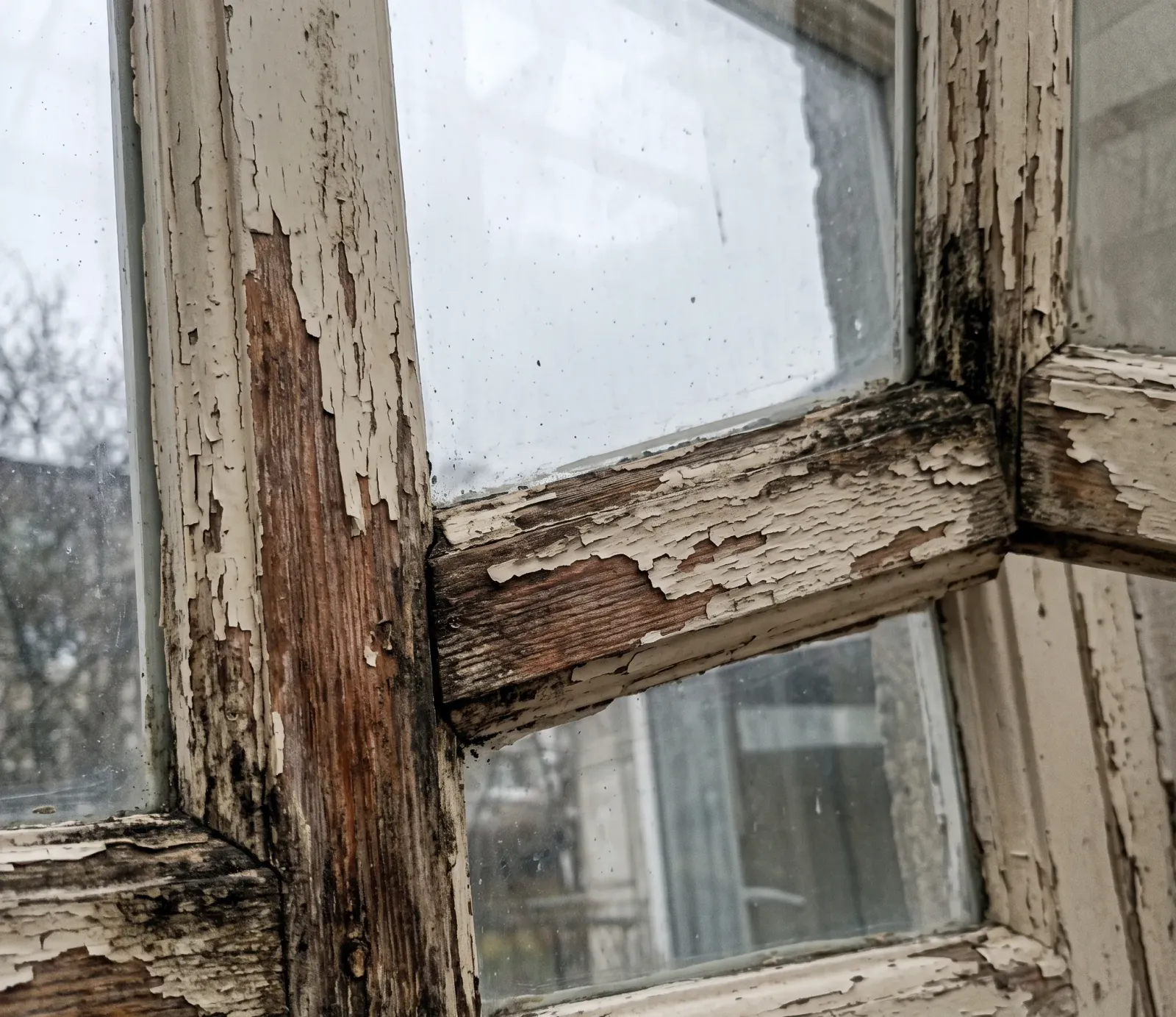 Drywall Mold water damage in Atlanta, GA