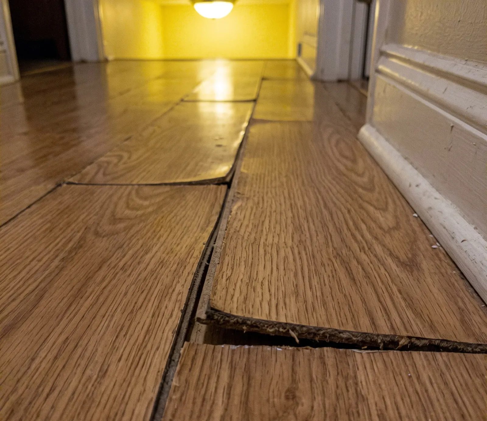 Filing a Water Damage Insurance Claim in Atlanta, GA